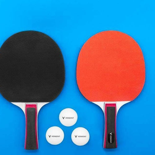 Rental - Table Tennis 2 Paddles & Ball $3